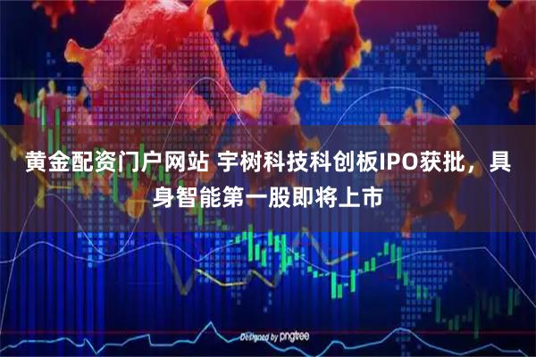 黄金配资门户网站 宇树科技科创板IPO获批,具身智能第一股即将上市